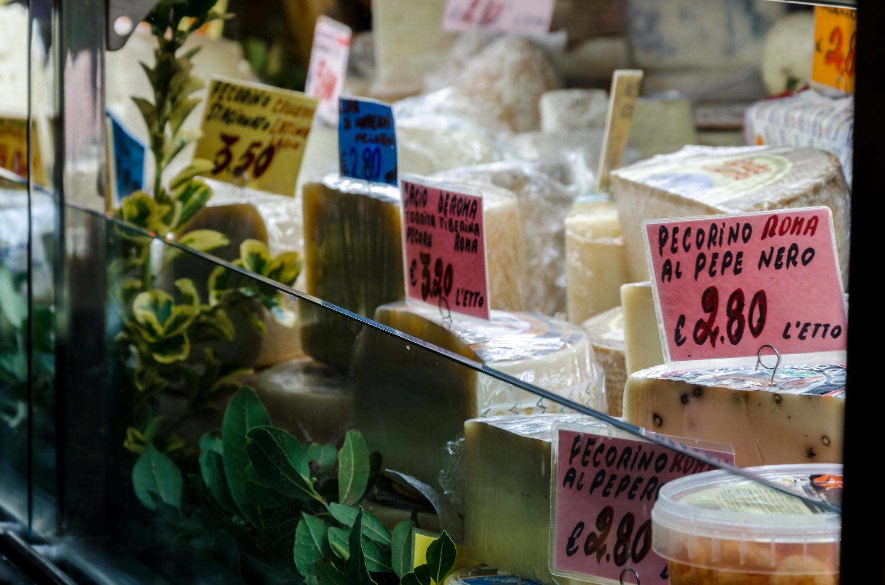 Pecorino cheese
